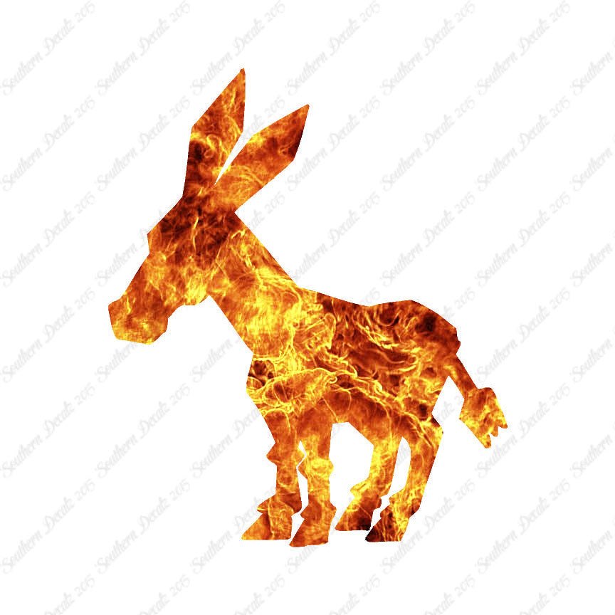 Donkey Mule Hinny