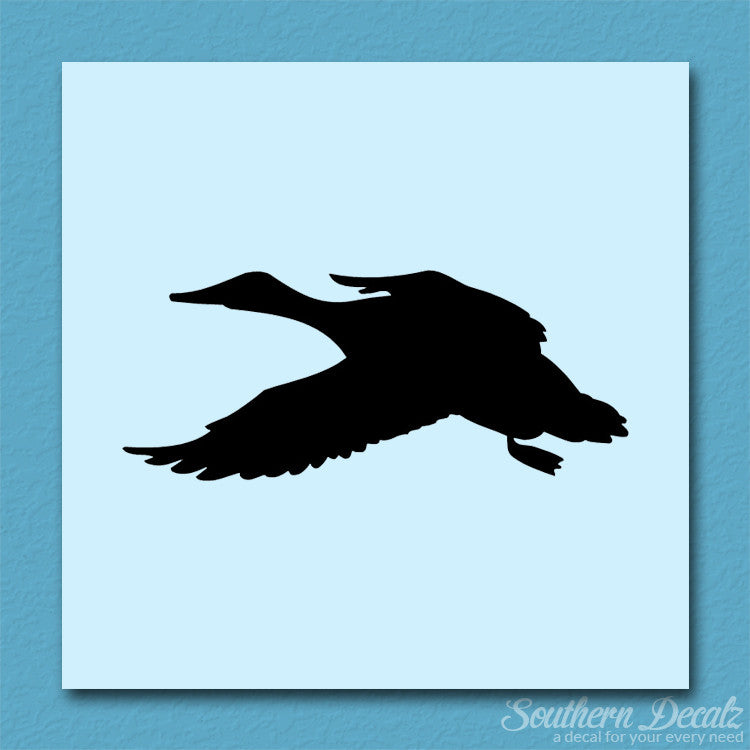 Duck Mallard Water Fowl
