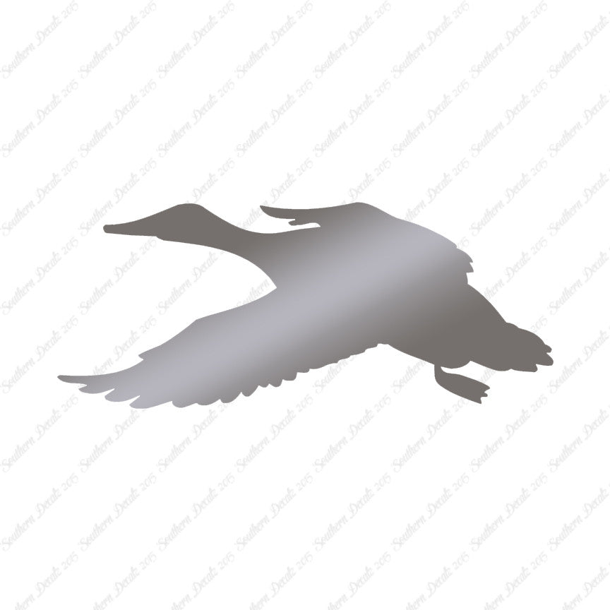 Duck Mallard Water Fowl