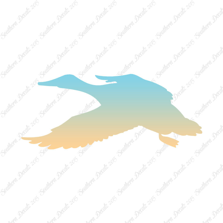 Duck Mallard Water Fowl