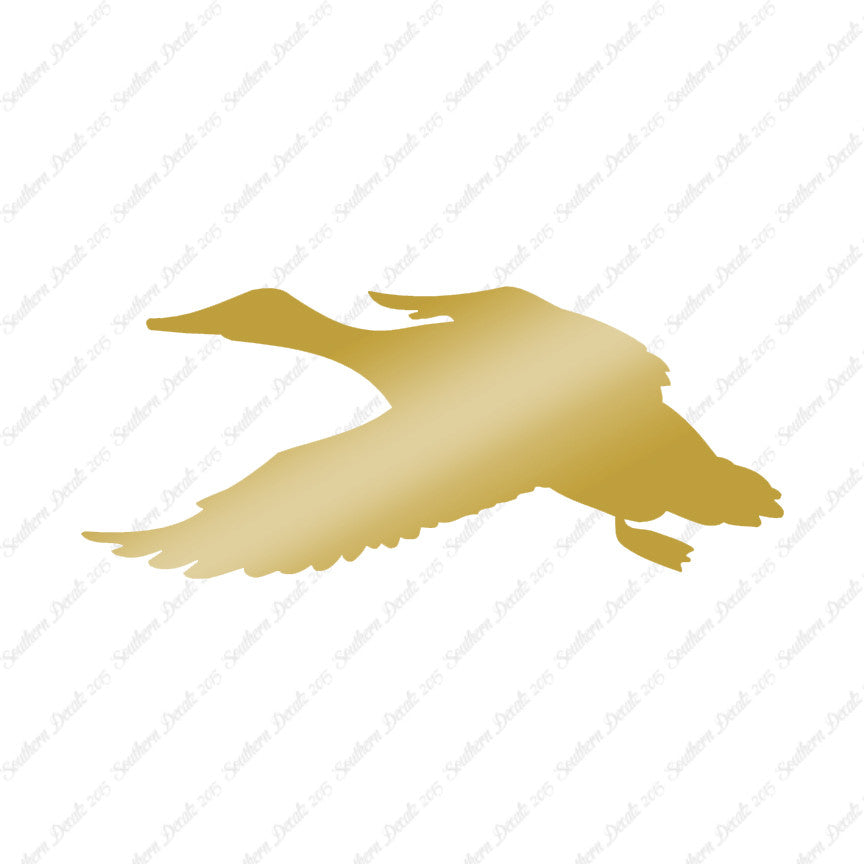 Duck Mallard Water Fowl