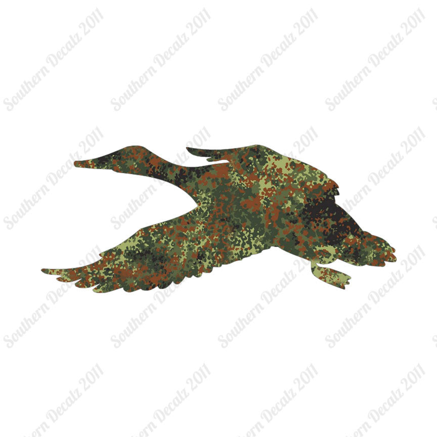 Duck Mallard Water Fowl
