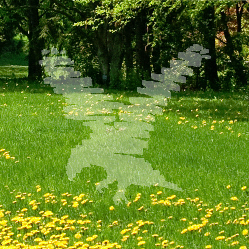 Bird Eagle Marker Art
