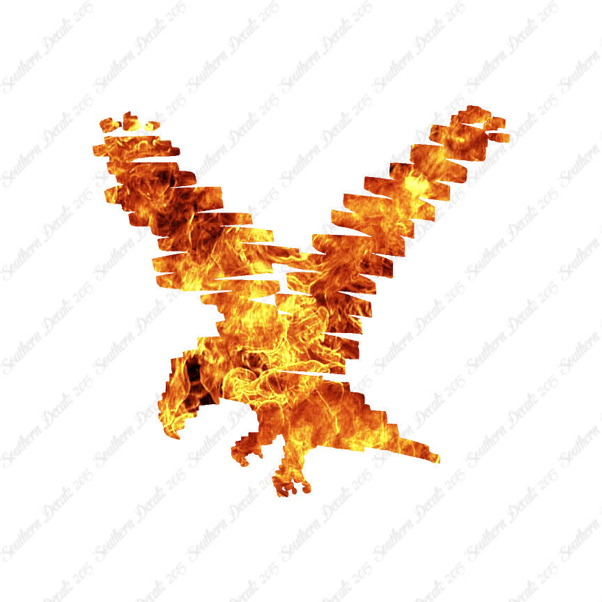 Bird Eagle Marker Art