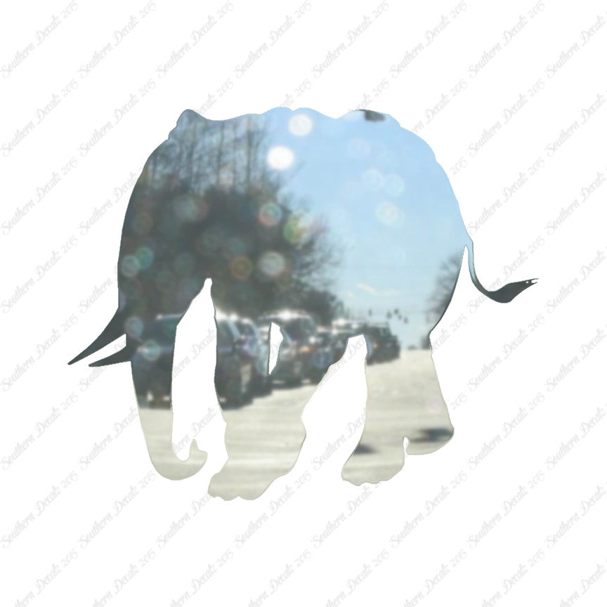 Walking Elephant