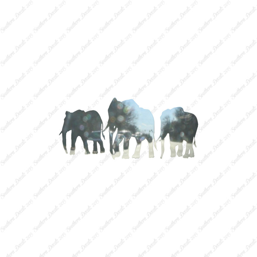 Group Of Elephant Herd