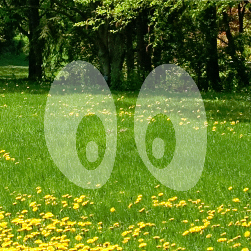 Eyes Googly Cartoon