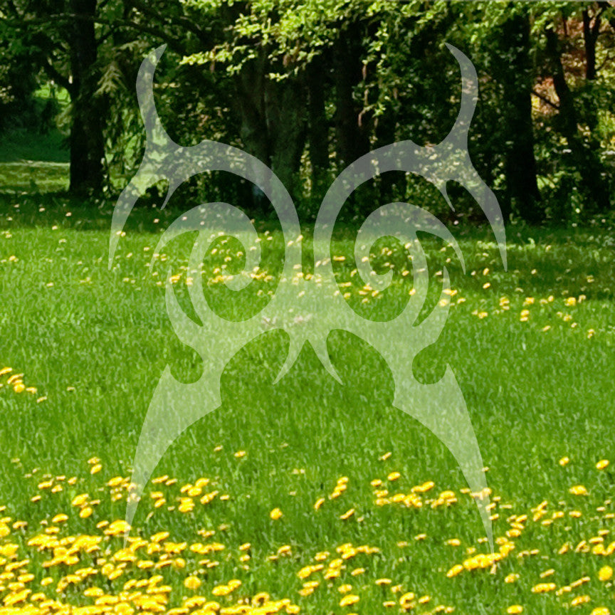 Tribal Butterfly Design