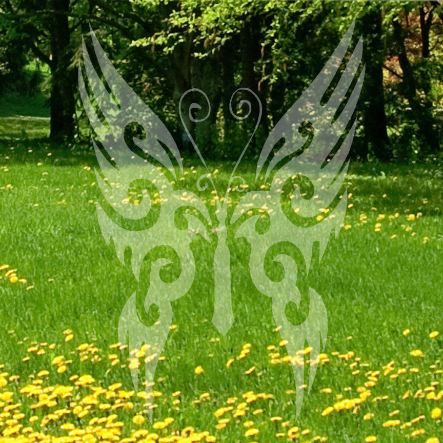 Decorative Butterfly Design