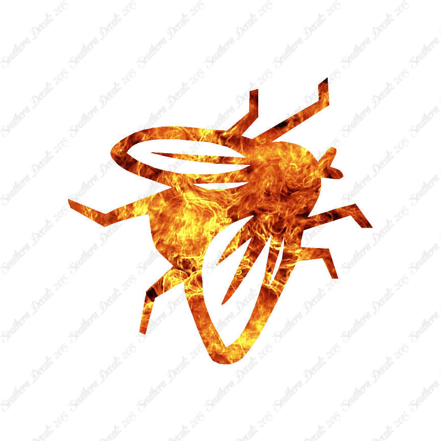 Fly Insect Pest Bug