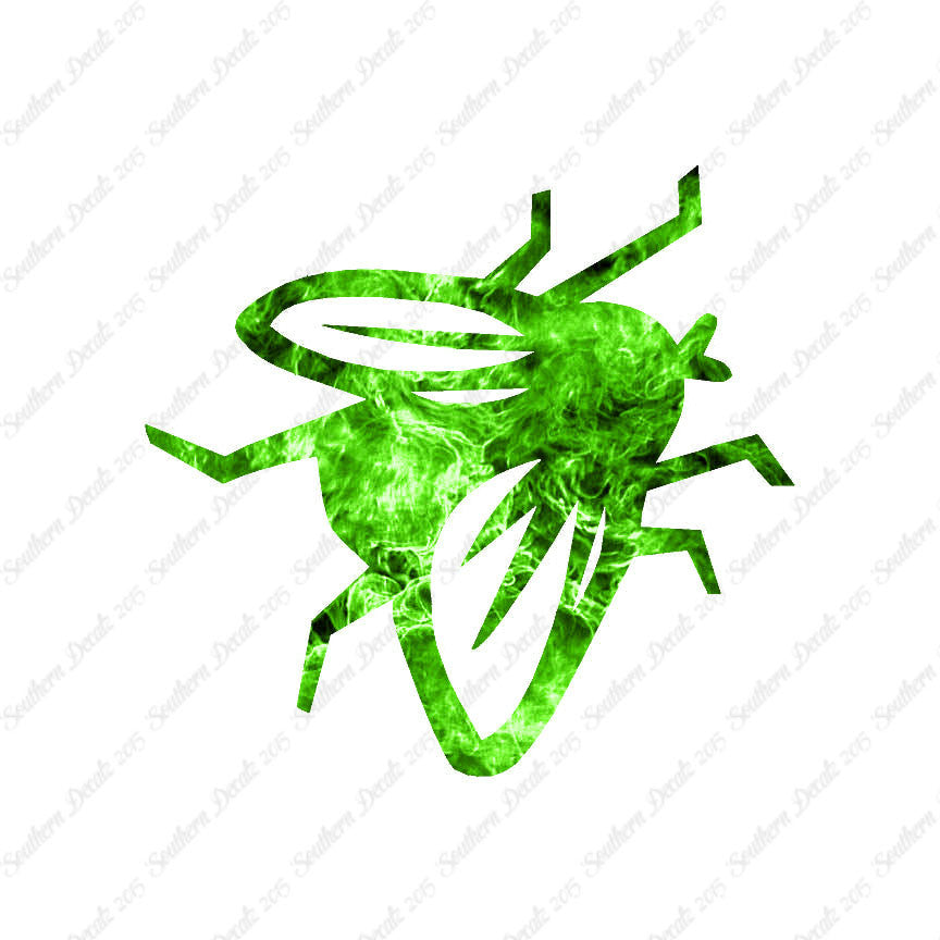 Fly Insect Pest Bug
