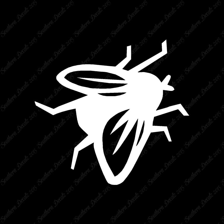 Fly Insect Pest Bug