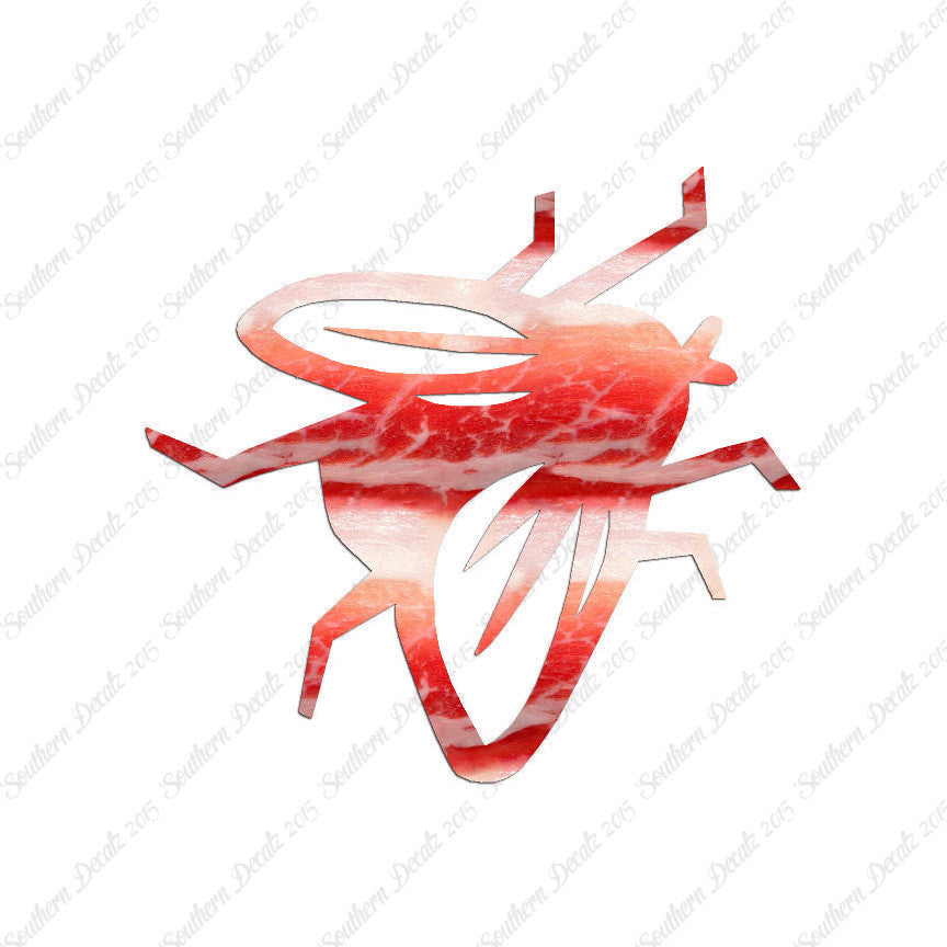 Fly Insect Pest Bug