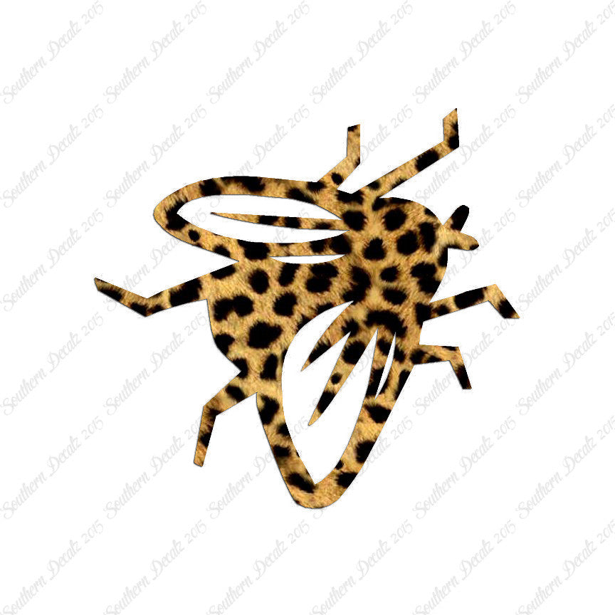Fly Insect Pest Bug