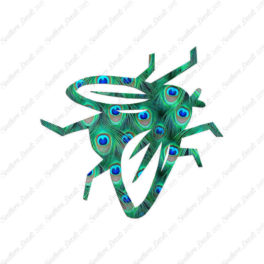 Fly Insect Pest Bug