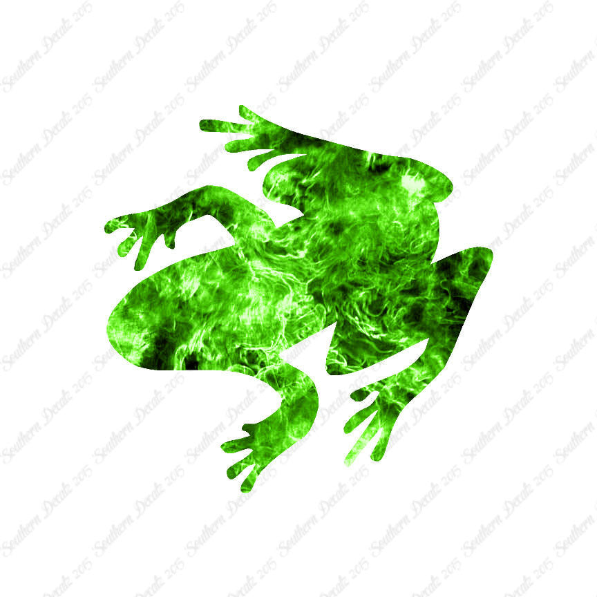 Tree Frog Toad