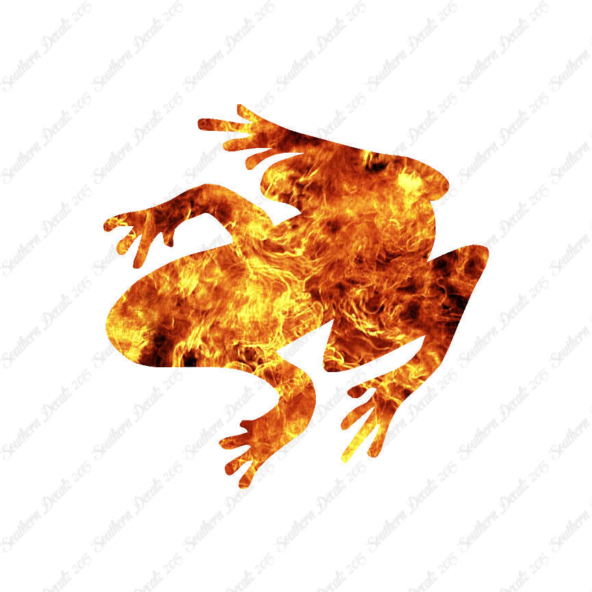 Tree Frog Toad