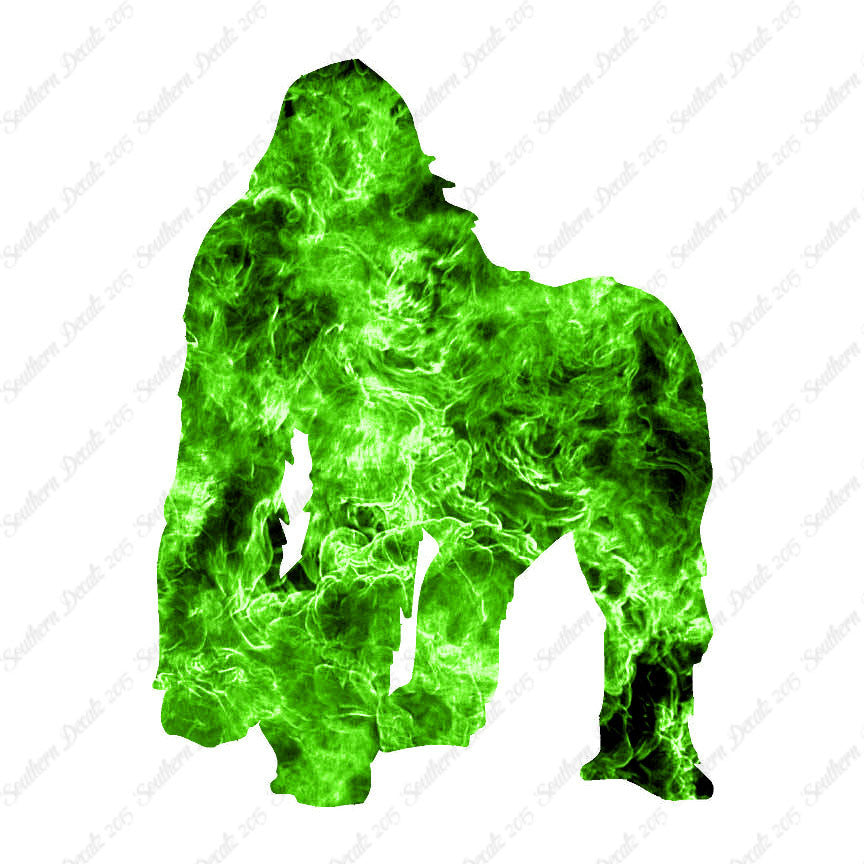 Gorilla Ape Monkey Primate