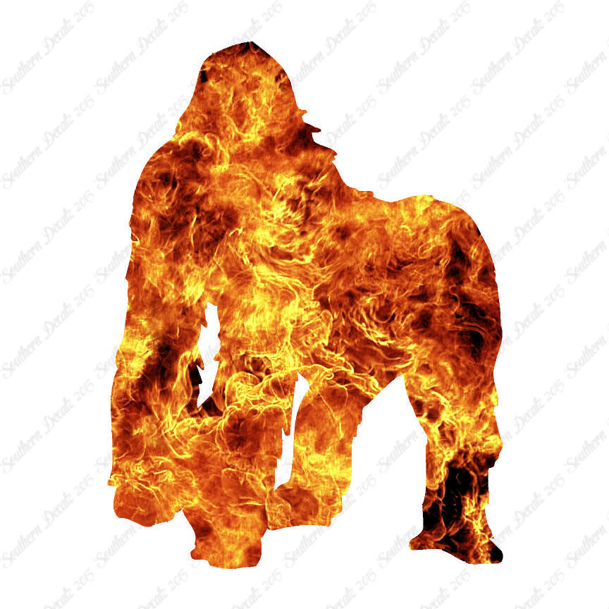 Gorilla Ape Monkey Primate