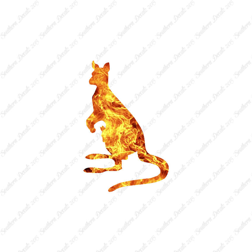 Kangaroo Joey Roo