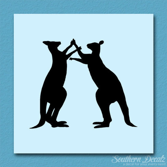 Kangaroo Fighting