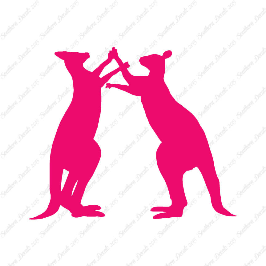 Kangaroo Fighting