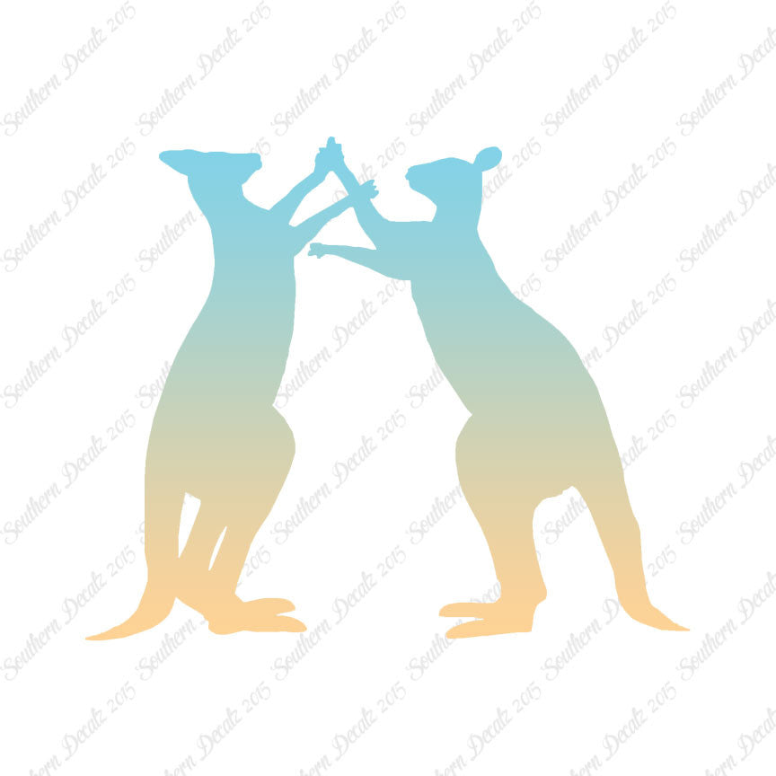 Kangaroo Fighting