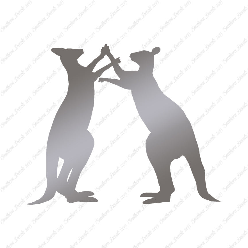 Kangaroo Fighting