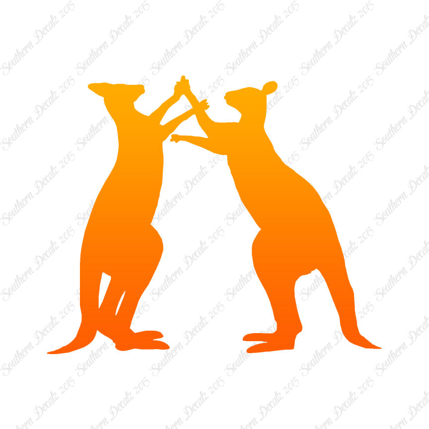 Kangaroo Fighting
