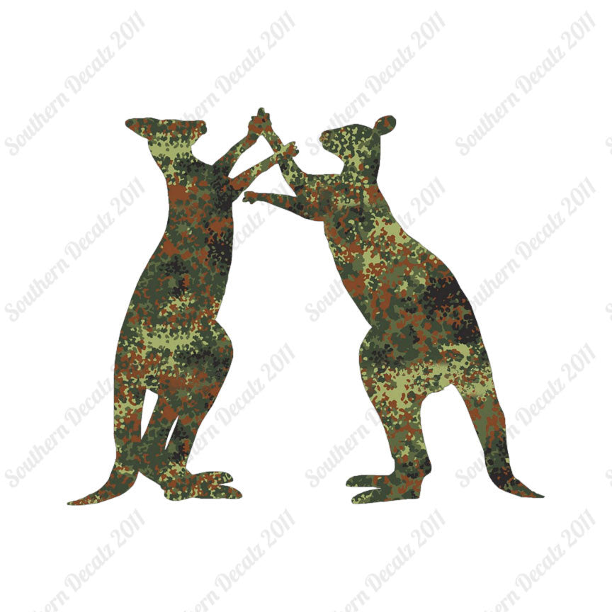 Kangaroo Fighting