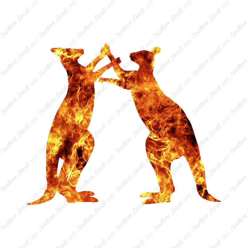 Kangaroo Fighting