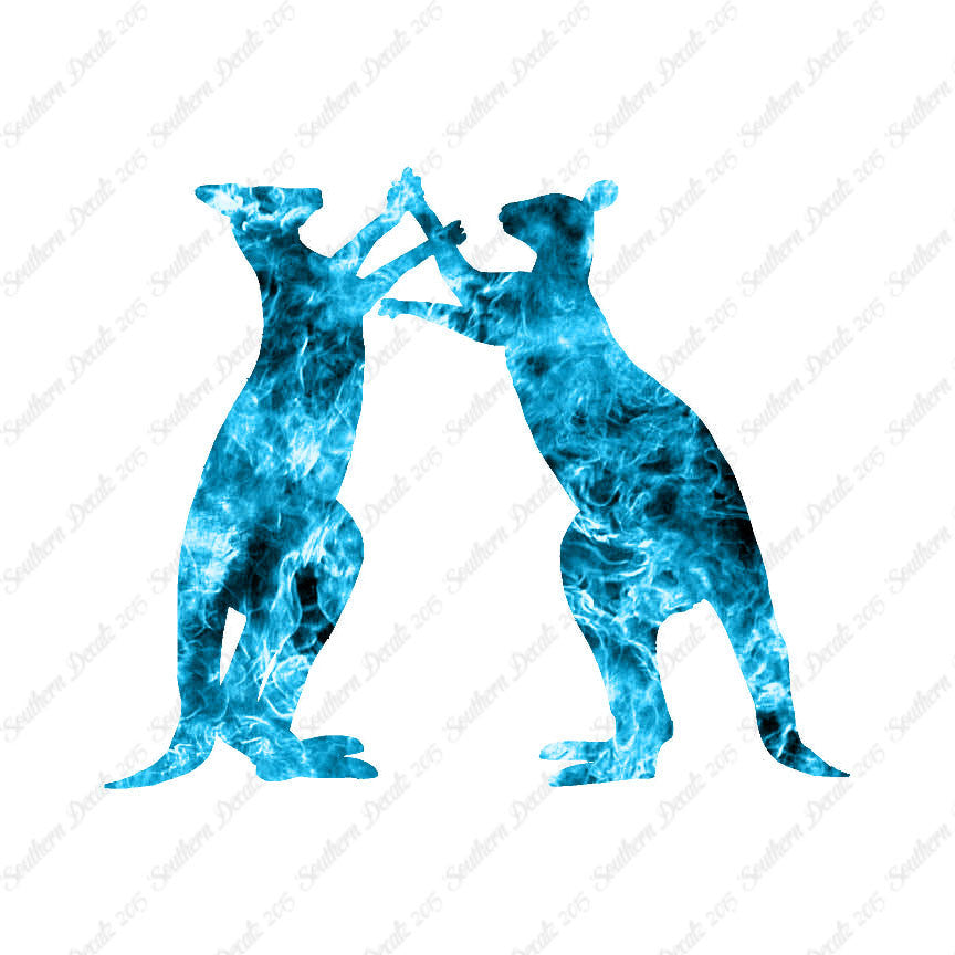 Kangaroo Fighting