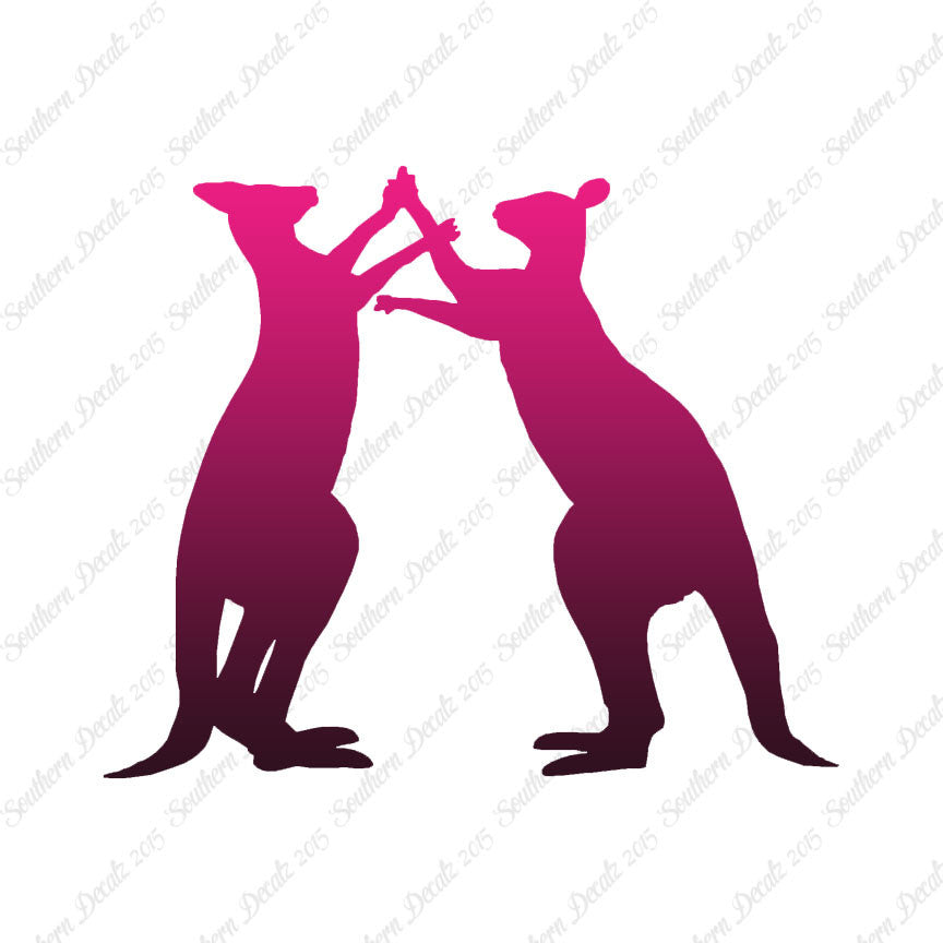 Kangaroo Fighting