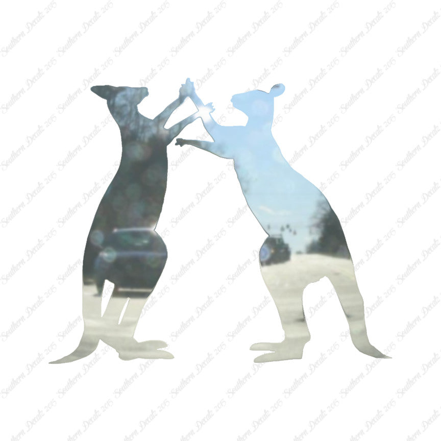 Kangaroo Fighting