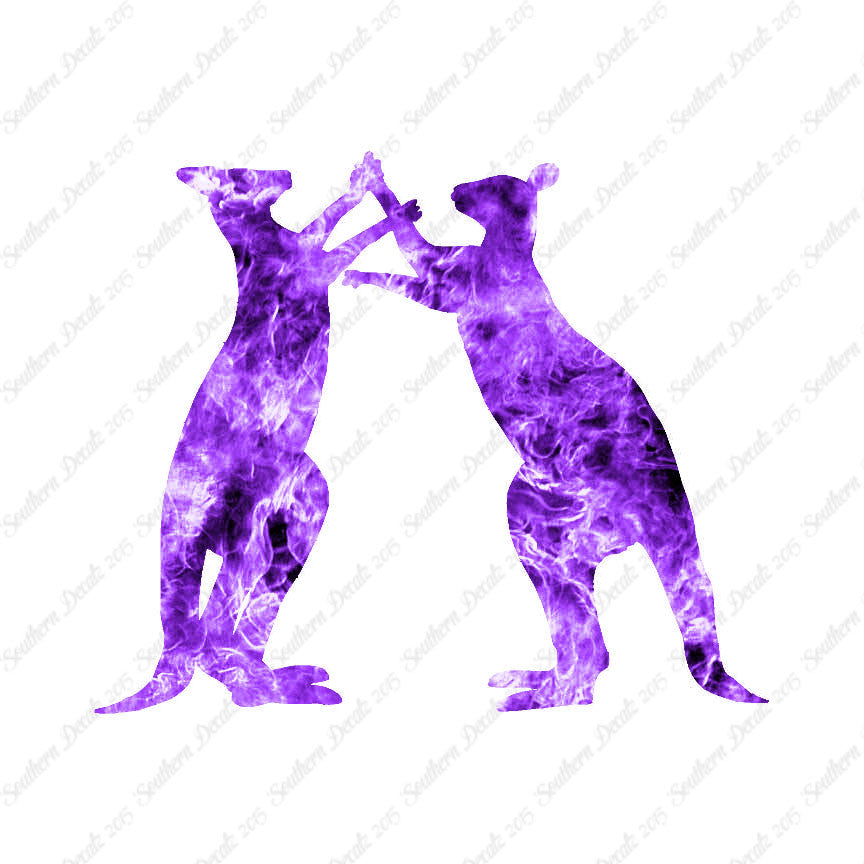 Kangaroo Fighting