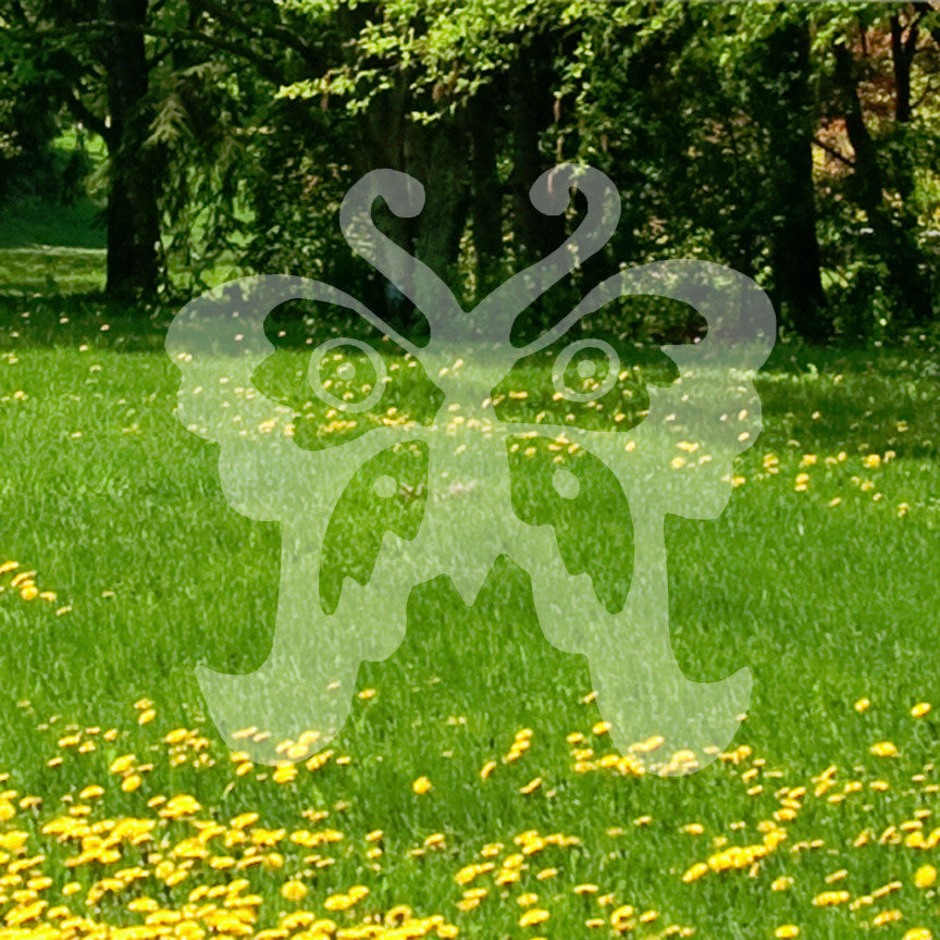 Butterfly Swirl Design Art