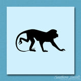 Monkey Chimpanzee Primate