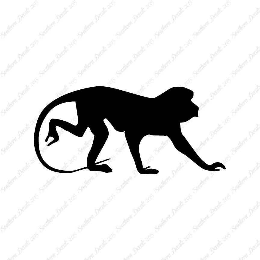 Monkey Chimpanzee Primate