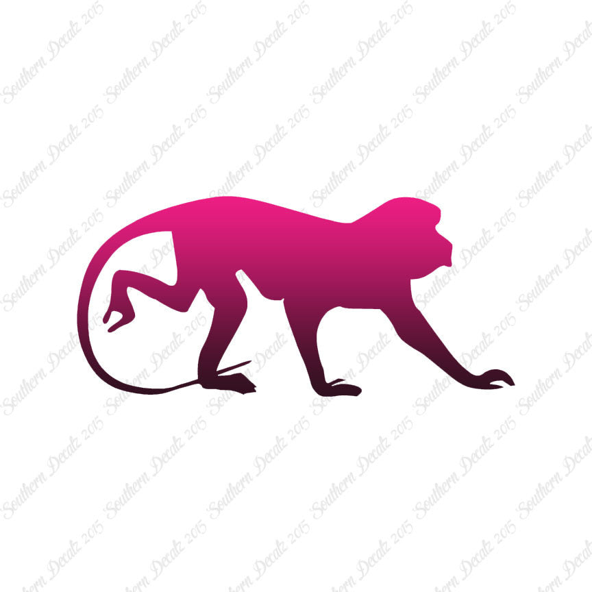 Monkey Chimpanzee Primate