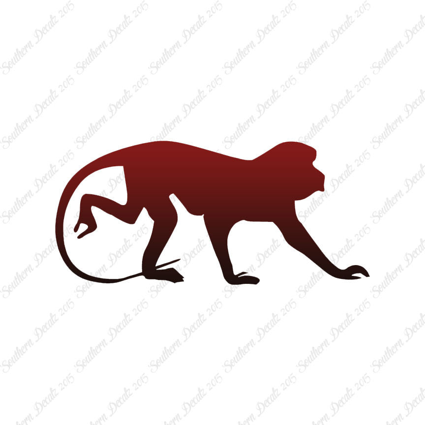 Monkey Chimpanzee Primate
