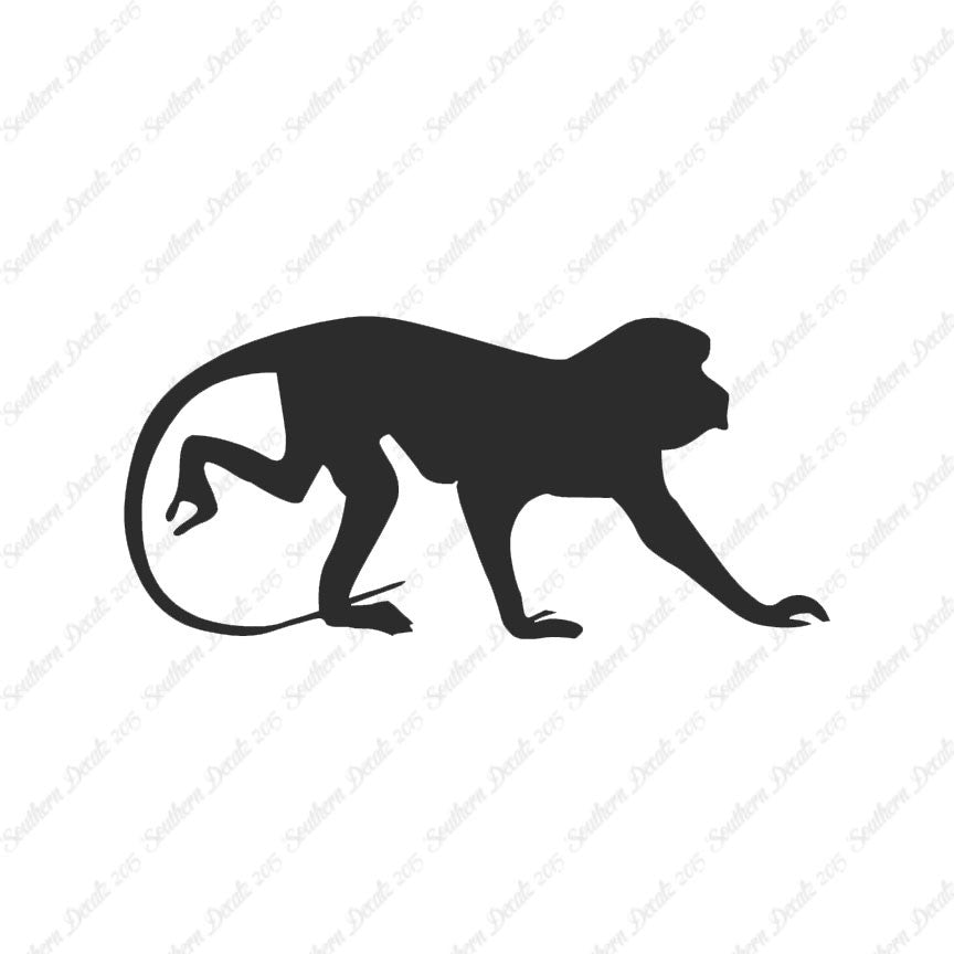 Monkey Chimpanzee Primate