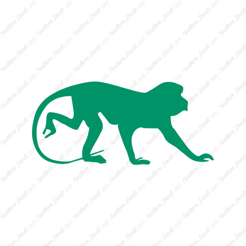 Monkey Chimpanzee Primate