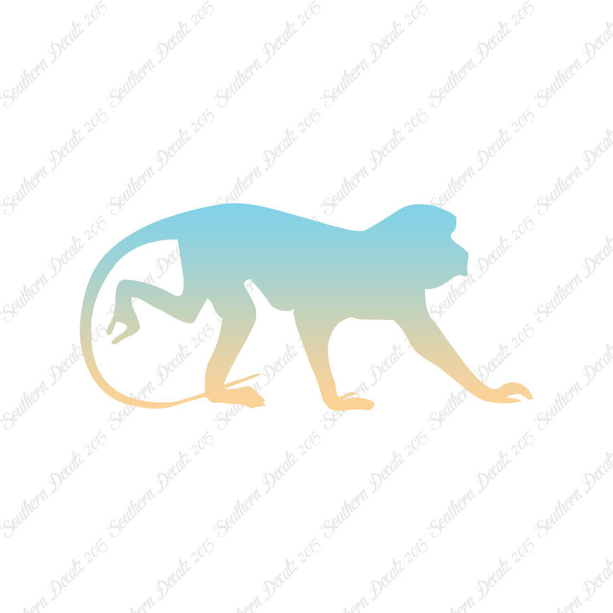 Monkey Chimpanzee Primate