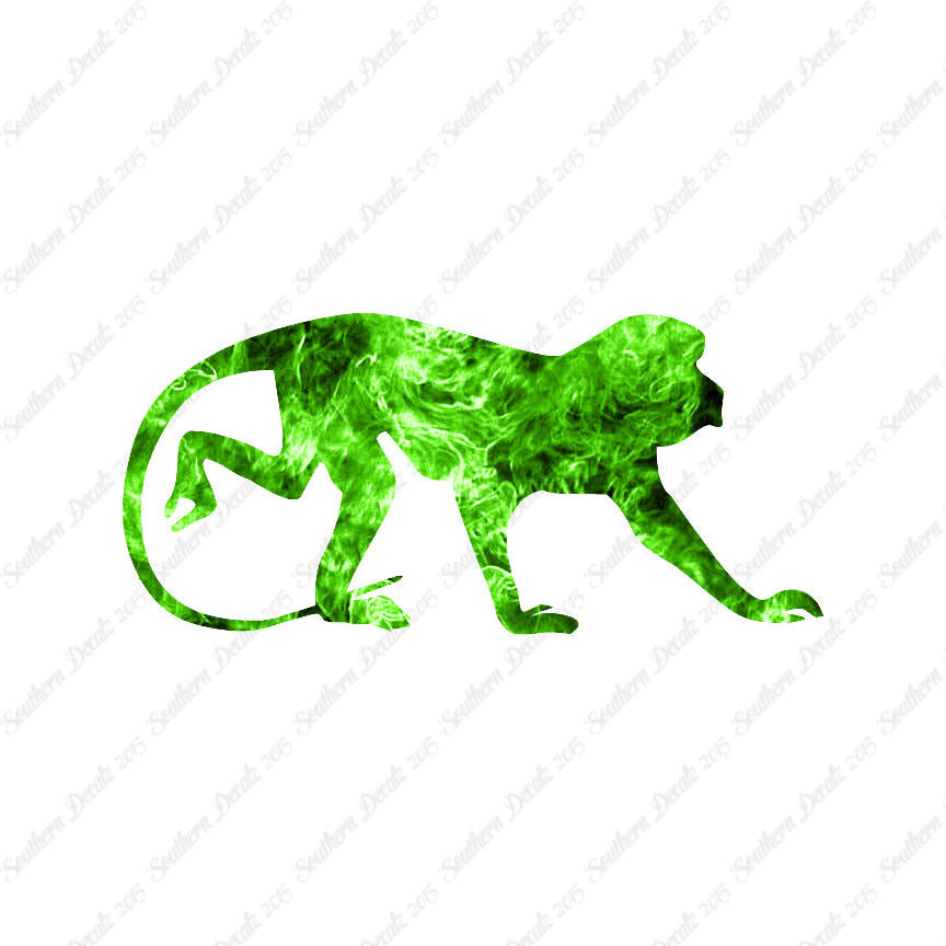 Monkey Chimpanzee Primate