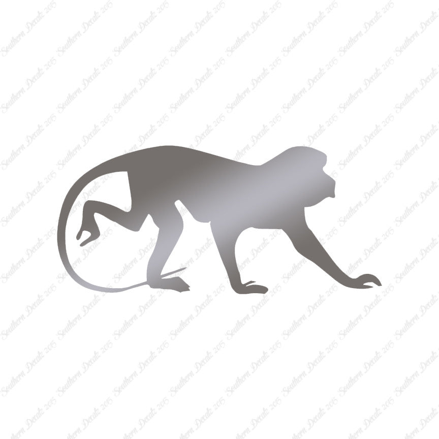 Monkey Chimpanzee Primate