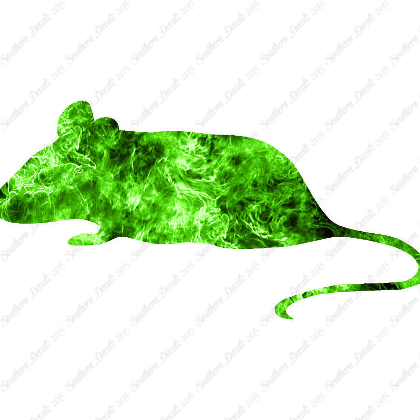 Mouse Rat Vermin
