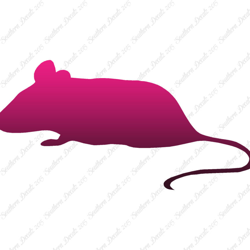 Mouse Rat Vermin