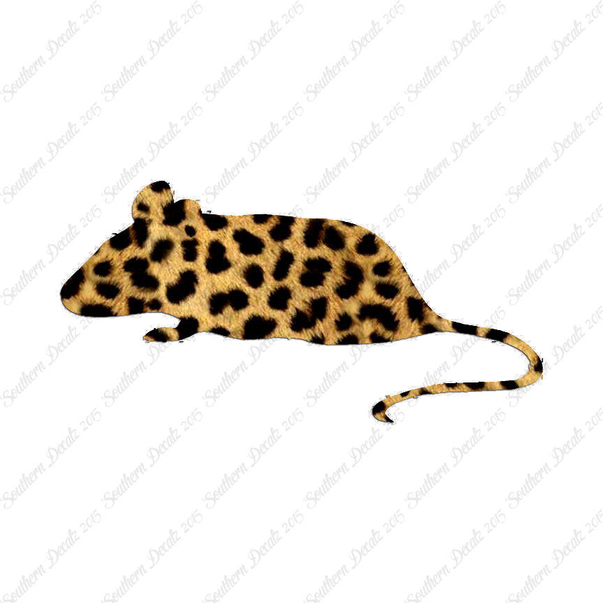 Mouse Rat Vermin