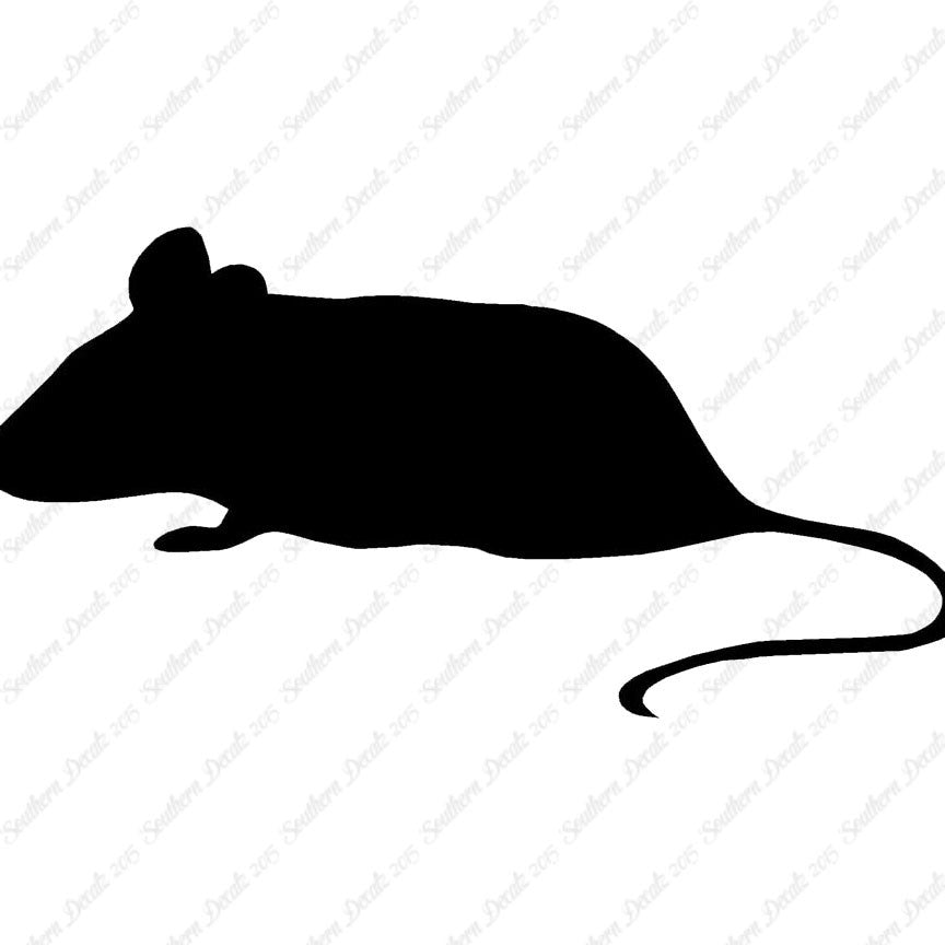 Mouse Rat Vermin