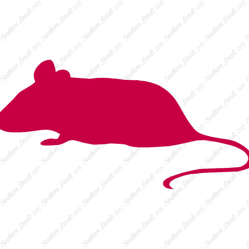Mouse Rat Vermin